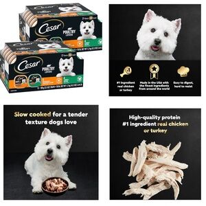 Cesar Filets in Gravy Adult Wet Dog Food Variety Pack, Poultry Lovers